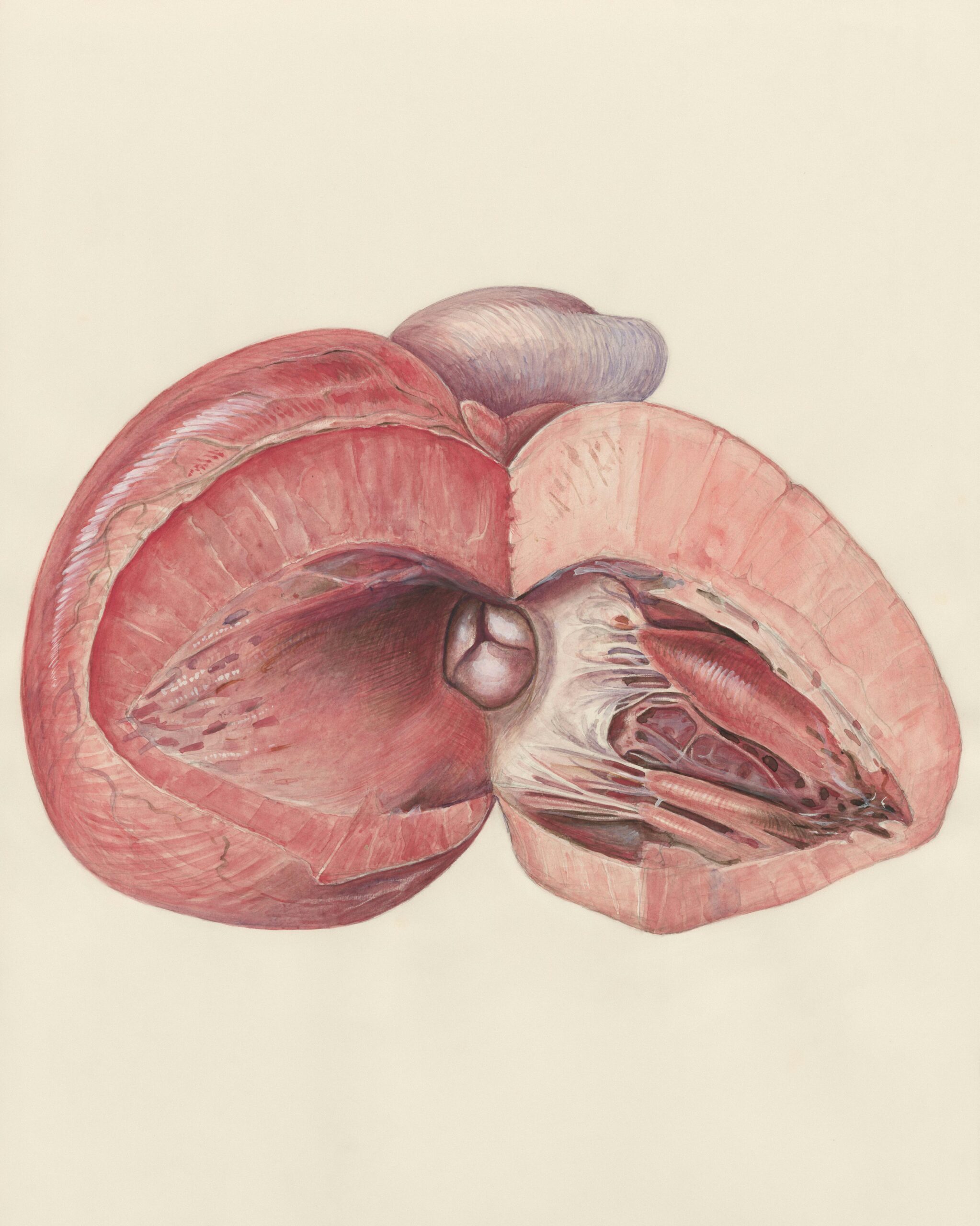 What Are The Limitations Of The Diagnosis Methods For A Swollen Prostate?